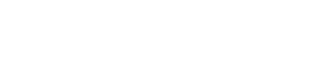 Datascape IT Limited